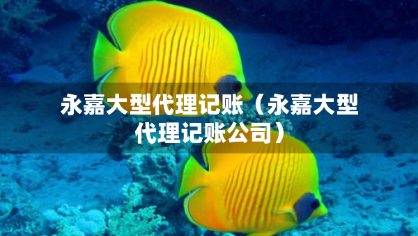 永嘉大型代理記賬（永嘉大型代理記賬公司）
