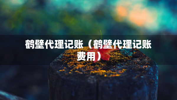 鶴壁代理記賬（鶴壁代理記賬費(fèi)用）