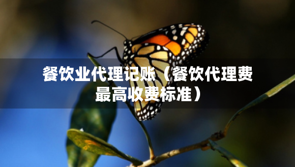 餐飲業(yè)代理記賬（餐飲代理費(fèi)最高收費(fèi)標(biāo)準(zhǔn)）