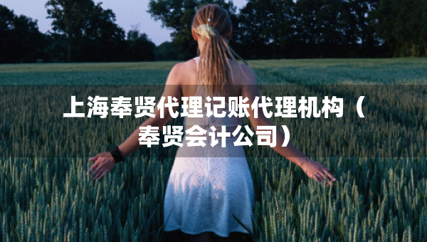 上海奉賢代理記賬代理機構(gòu)（奉賢會計公司）