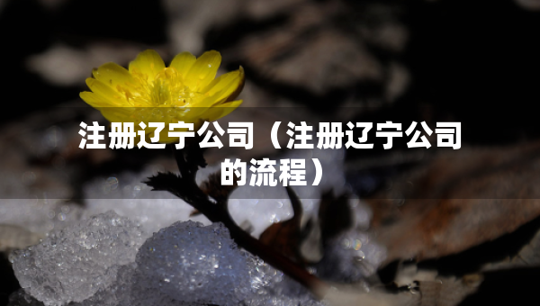 注冊(cè)遼寧公司（注冊(cè)遼寧公司的流程）