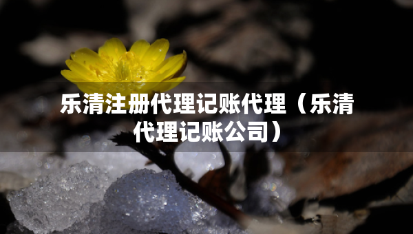 樂(lè)清注冊(cè)代理記賬代理（樂(lè)清代理記賬公司）