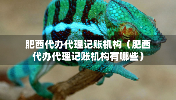 肥西代辦代理記賬機構(gòu)（肥西代辦代理記賬機構(gòu)有哪些）