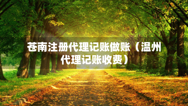 蒼南注冊(cè)代理記賬做賬（溫州代理記賬收費(fèi)）