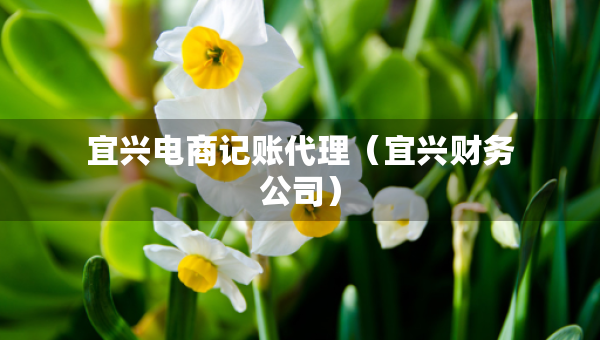 宜興電商記賬代理（宜興財務(wù)公司）
