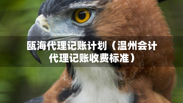 甌海代理記賬計劃（溫州會計代理記賬收費標(biāo)準(zhǔn)）
