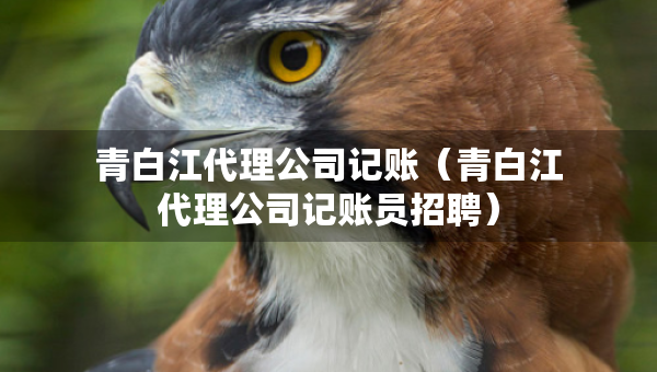 青白江代理公司記賬（青白江代理公司記賬員招聘）