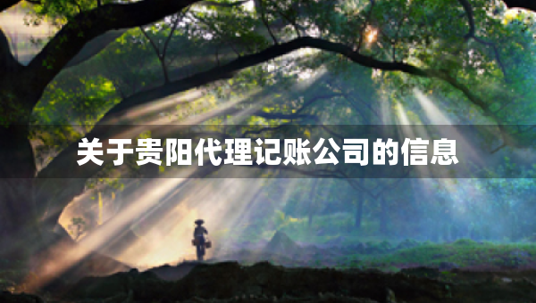 關(guān)于貴陽(yáng)代理記賬公司的信息