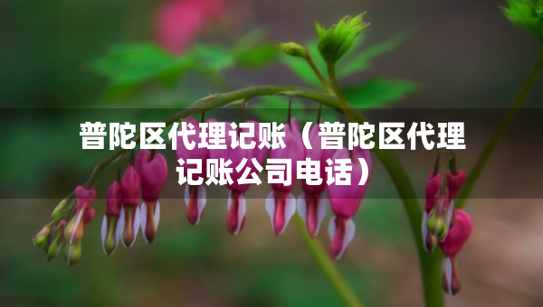 普陀區(qū)代理記賬（普陀區(qū)代理記賬公司電話）