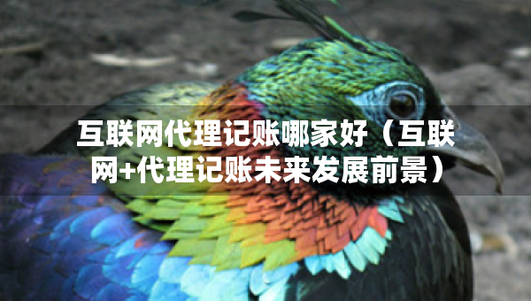 互聯(lián)網(wǎng)代理記賬哪家好（互聯(lián)網(wǎng)+代理記賬未來發(fā)展前景）