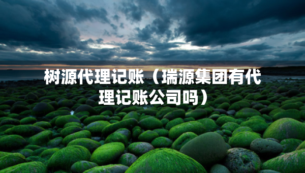 樹源代理記賬（瑞源集團(tuán)有代理記賬公司嗎）