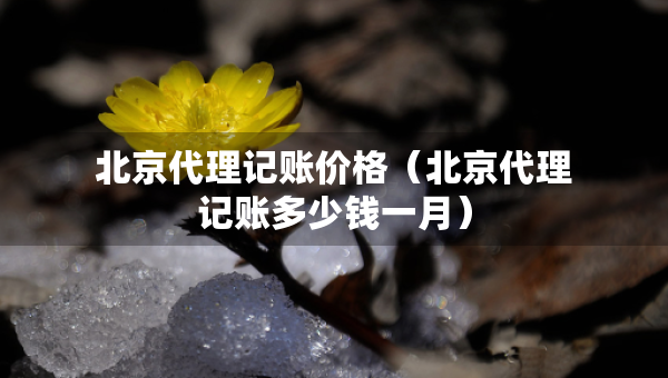 北京代理記賬價格（北京代理記賬多少錢一月）