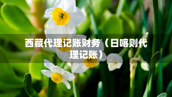 西藏代理記賬財務(wù)（日喀則代理記賬）