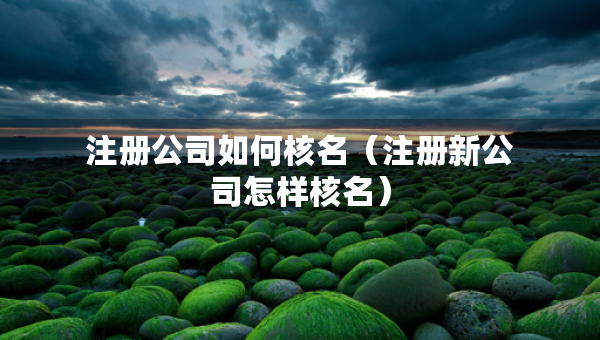 注冊公司如何核名（注冊新公司怎樣核名）