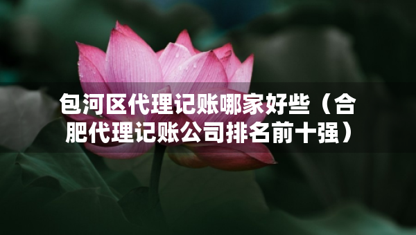 包河區(qū)代理記賬哪家好些（合肥代理記賬公司排名前十強）