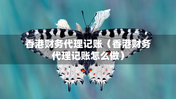 香港財(cái)務(wù)代理記賬（香港財(cái)務(wù)代理記賬怎么做）