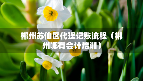 郴州蘇仙區(qū)代理記賬流程（郴州哪有會計培訓(xùn)）