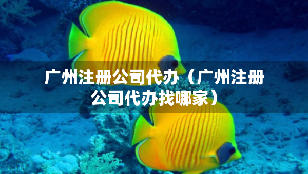 廣州注冊(cè)公司代辦（廣州注冊(cè)公司代辦找哪家）