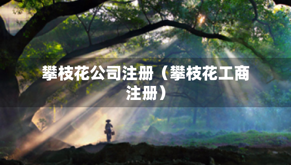 攀枝花公司注冊（攀枝花工商注冊）