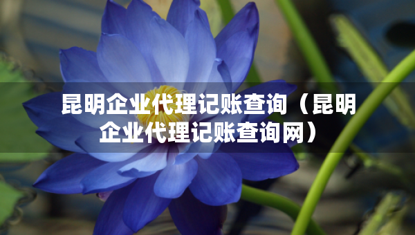 昆明企業(yè)代理記賬查詢（昆明企業(yè)代理記賬查詢網(wǎng)）