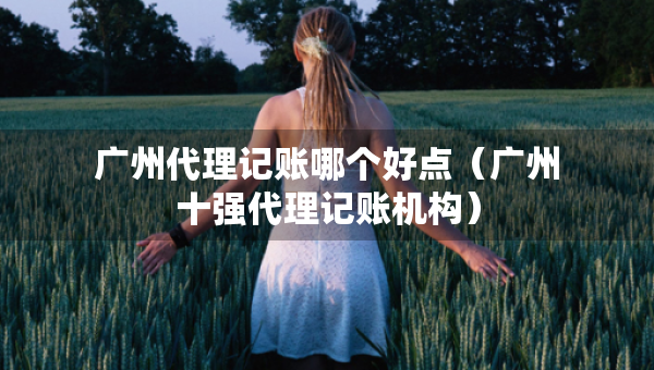 廣州代理記賬哪個好點（廣州十強代理記賬機構）