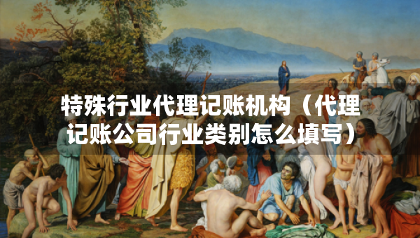 特殊行業(yè)代理記賬機(jī)構(gòu)（代理記賬公司行業(yè)類(lèi)別怎么填寫(xiě)）