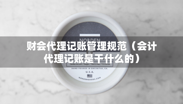 財會代理記賬管理規(guī)范（會計代理記賬是干什么的）