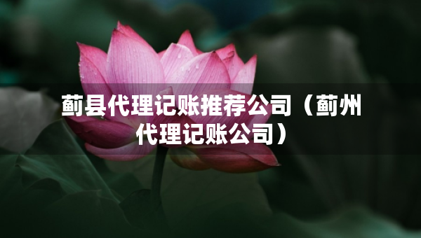 薊縣代理記賬推薦公司（薊州代理記賬公司）