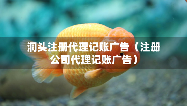 洞頭注冊代理記賬廣告（注冊公司代理記賬廣告）