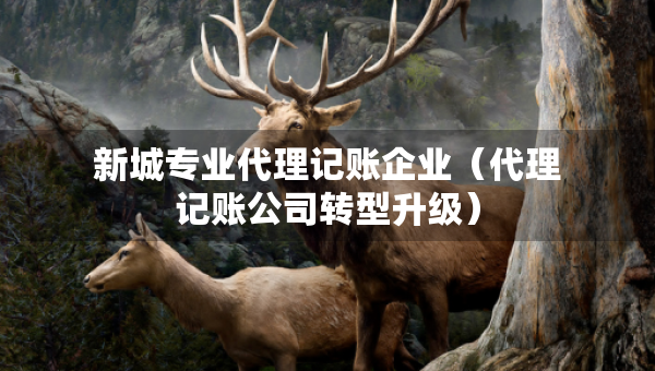 新城專業(yè)代理記賬企業(yè)（代理記賬公司轉(zhuǎn)型升級）
