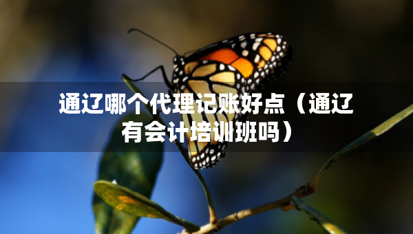 通遼哪個代理記賬好點（通遼有會計培訓(xùn)班嗎）