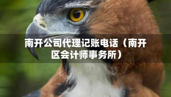 南開公司代理記賬電話（南開區(qū)會計師事務(wù)所）
