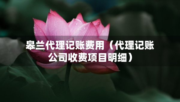 皋蘭代理記賬費(fèi)用（代理記賬公司收費(fèi)項(xiàng)目明細(xì)）