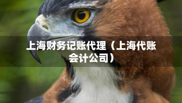 上海財(cái)務(wù)記賬代理（上海代賬會(huì)計(jì)公司）