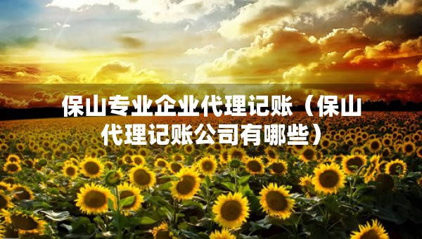 保山專業(yè)企業(yè)代理記賬（保山代理記賬公司有哪些）