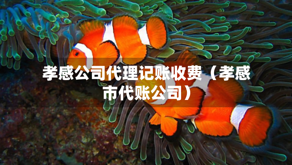 孝感公司代理記賬收費(fèi)（孝感市代賬公司）