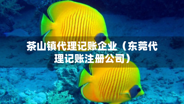 茶山鎮(zhèn)代理記賬企業(yè)（東莞代理記賬注冊(cè)公司）