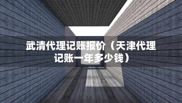 武清代理記賬報(bào)價(jià)（天津代理記賬一年多少錢）