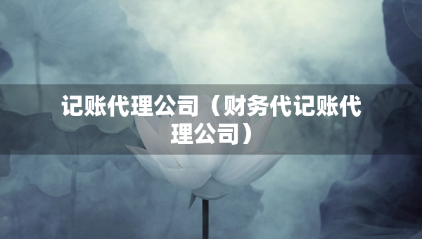 記賬代理公司（財(cái)務(wù)代記賬代理公司）
