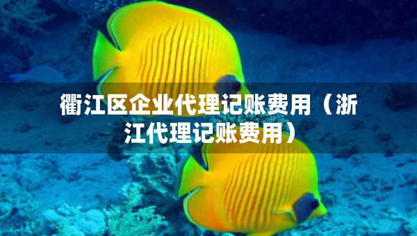 衢江區(qū)企業(yè)代理記賬費(fèi)用（浙江代理記賬費(fèi)用）