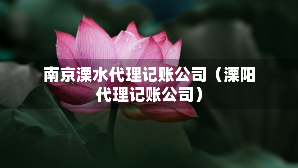 南京溧水代理記賬公司（溧陽代理記賬公司）