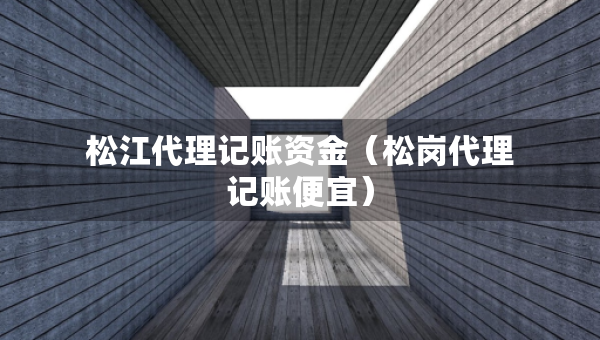 松江代理記賬資金（松崗代理記賬便宜）