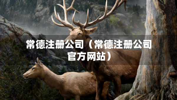 常德注冊公司（常德注冊公司官方網(wǎng)站）