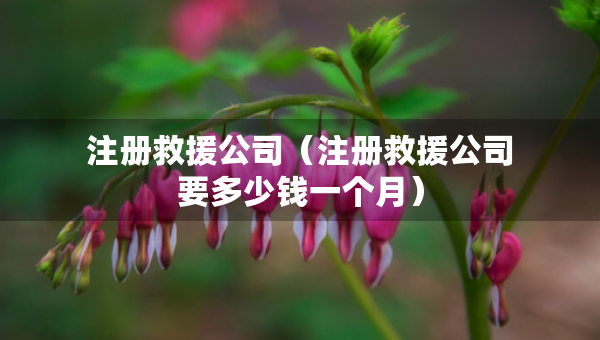 注冊救援公司（注冊救援公司要多少錢一個月）