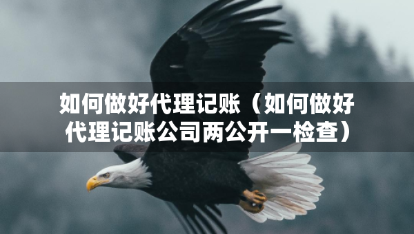 如何做好代理記賬（如何做好代理記賬公司兩公開一檢查）