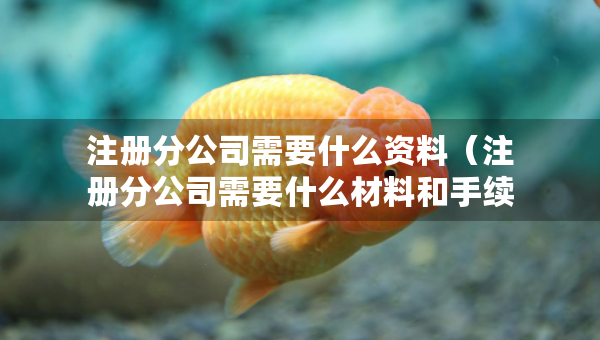 注冊(cè)分公司需要什么資料（注冊(cè)分公司需要什么材料和手續(xù)）