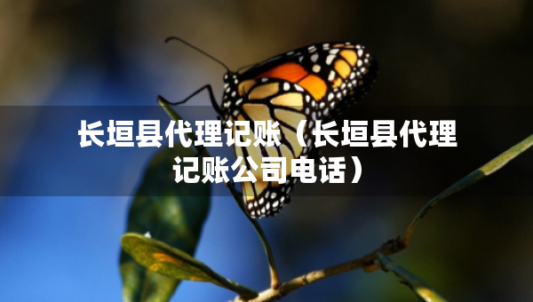 長垣縣代理記賬（長垣縣代理記賬公司電話）