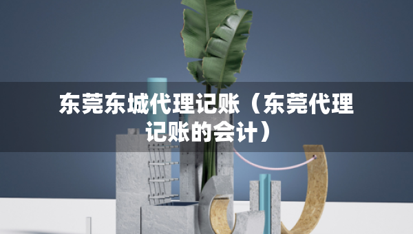 東莞東城代理記賬（東莞代理記賬的會(huì)計(jì)）