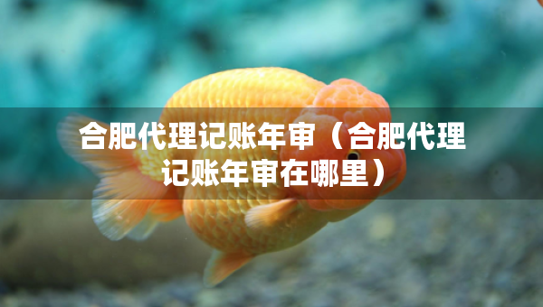 合肥代理記賬年審（合肥代理記賬年審在哪里）