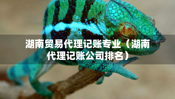 湖南貿(mào)易代理記賬專業(yè)（湖南代理記賬公司排名）